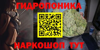 крисы Балаково