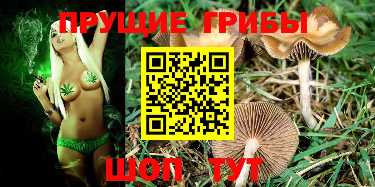 Иваново  Галлюциногенные грибы ЛСД  Вход с VPN 