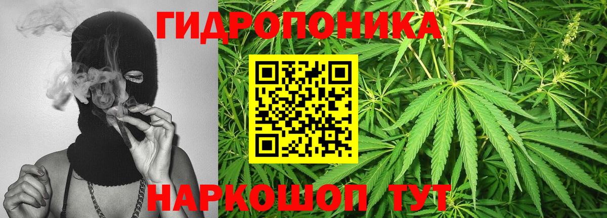 Канабис конопля Иваново